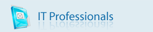 It Professionals