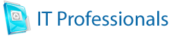 IT professionals